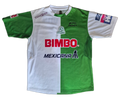 Jersey local Lagartos de Tabasco Temporada 2004